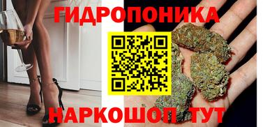 шишки Белореченск