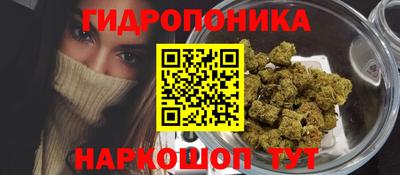 крисы Бердск