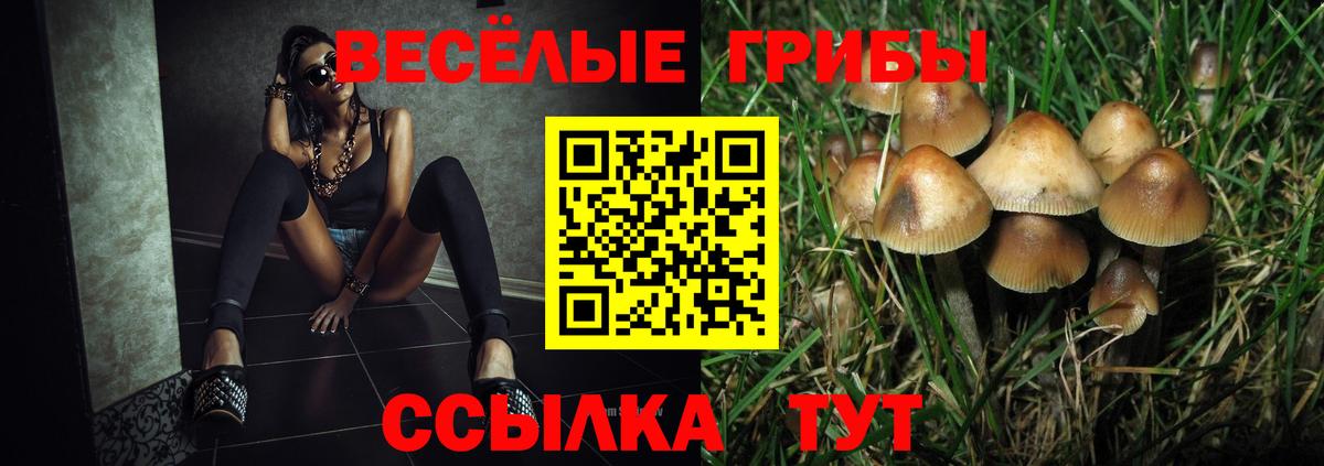 Псилоцибиновые грибы мухоморы Губкин